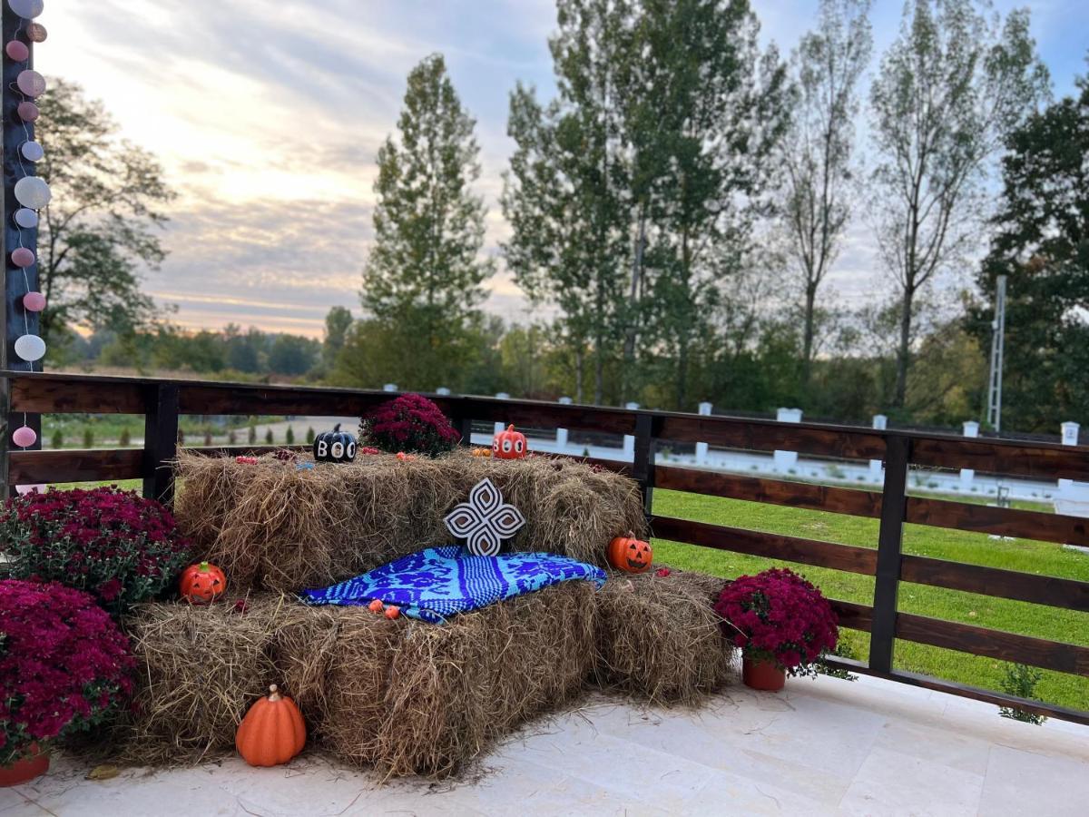 Отель Casa Cu Flori Maramures Бая-Маре Экстерьер фото
